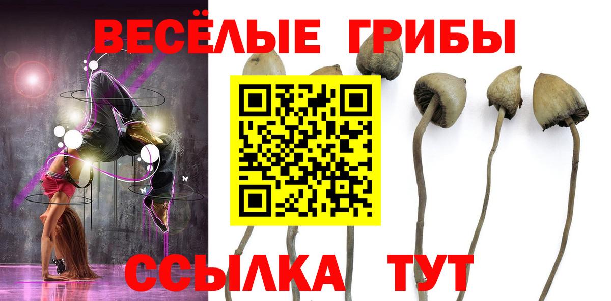 Галлюциногенные грибы мицелий  Вход с VPN  Протвино 